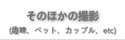 そのほかの写真