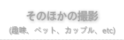 そのほかの写真